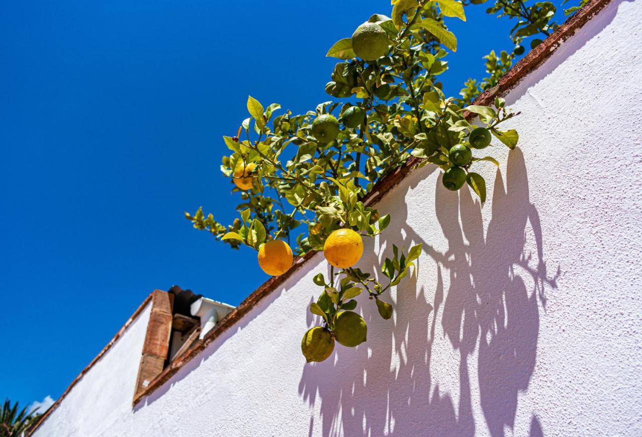 Villa Yanna Benalmádena Eksteriør billede